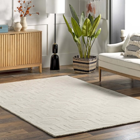 Nuloom Hand Woven Ambrose Area Rug 6ft x 9ft RUCS03B-609